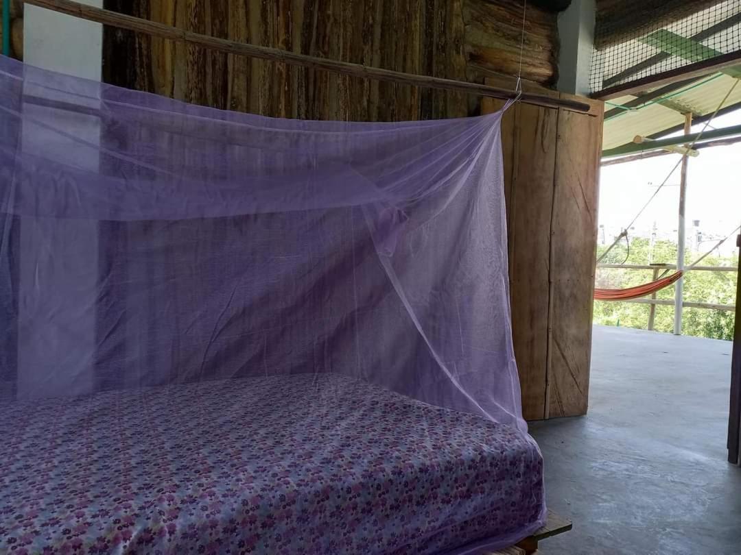 Casa Lily Flower Playa Dormida Zewnętrze zdjęcie