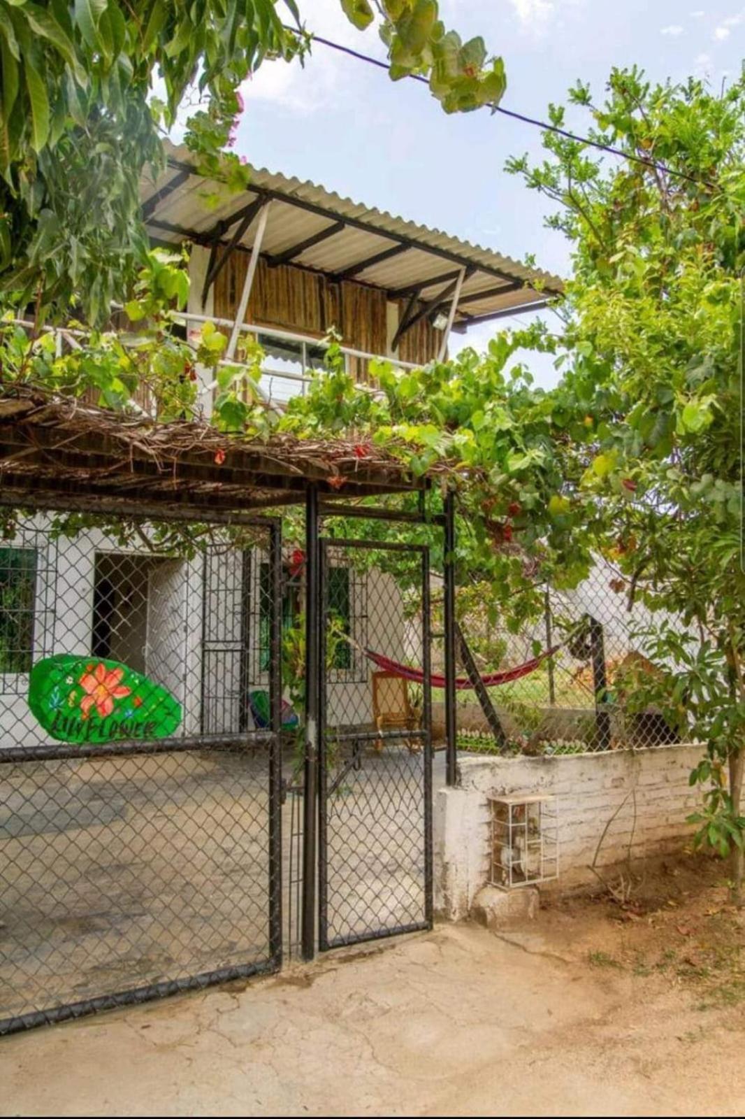 Casa Lily Flower Playa Dormida Zewnętrze zdjęcie